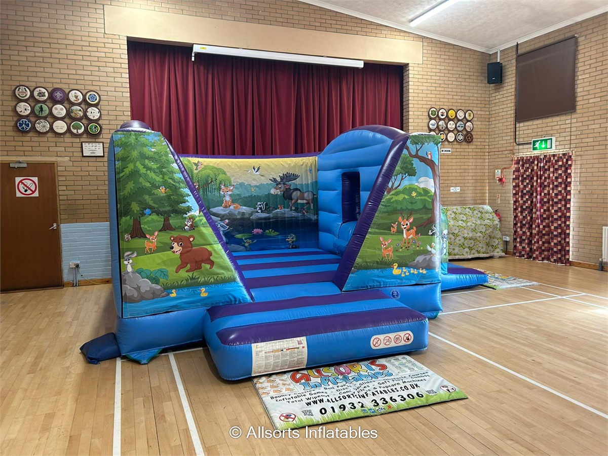Woodlands Bouncy Castle With Side Slide Combo Best Bouncy Castle and